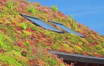 Hutton End living roof systems