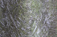 Hutton End fibreglass roof work